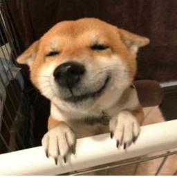 ⛧
