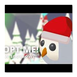 Christmas Owl🦉🎄
