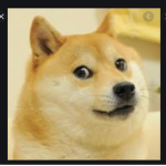 The Unknown Doges