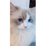 ʟᴏᴠʟᴇʏ ᴄʟᴏᴛʜᴇs <3