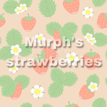 Murph’s Strawberries <3