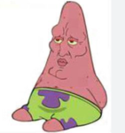 the patrick party