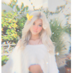 Pxris Wonderland