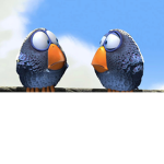 Teh Birdies