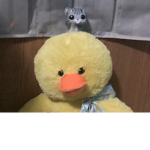 DUCKS AND CATS ARMY