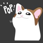 貓貓 :D
