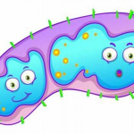 microbial life