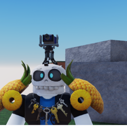 Sky Fight!