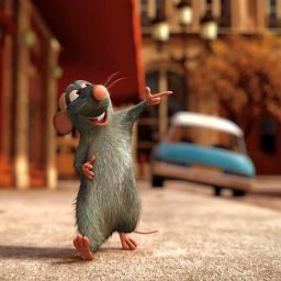 Rat Racing