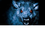 scary rat cult