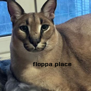 FLOPPA PLACE