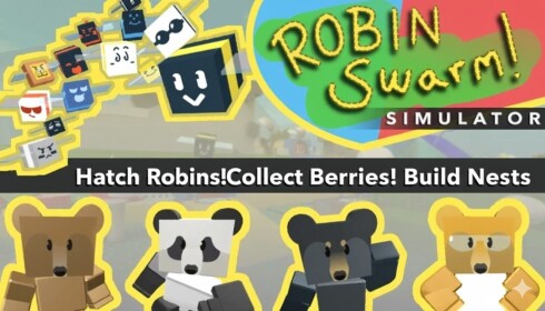 Robin Swarm Simulator TEST REALM