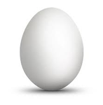 The Strongest Egg