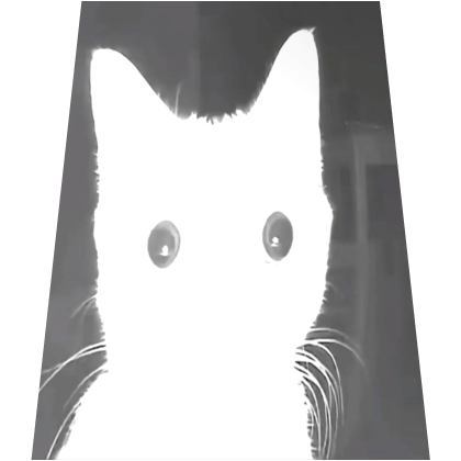 Cute White Flash Meme Cat Cape