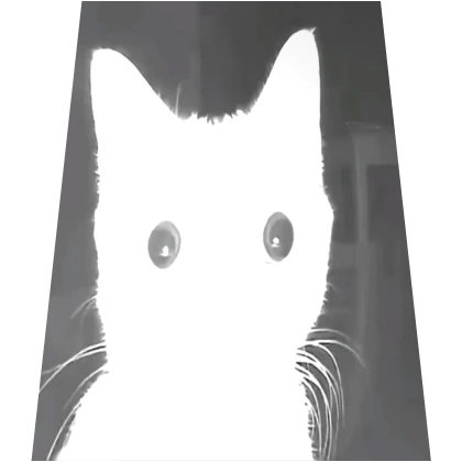 Cute White Flash Meme Cat Cape Roblox item render
