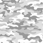 Camo Crusaders