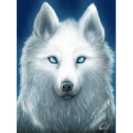 - The Wolf Family -