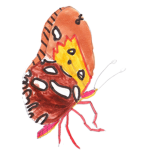Art and Coding Fun