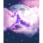 Unicorn Space