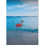 Tiny flamingos :D