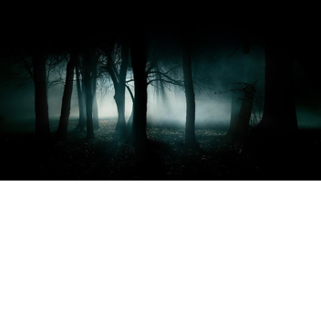 The nightly death hunt (bad)