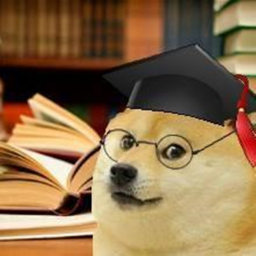 Smart Doge City!