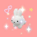 bunny fans bunny lovers group