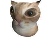 Chicken Cat Shoulder Pal