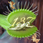 137 club