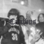 Canibus Ent