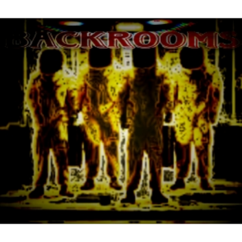 PUBLIC BACKROOMS SIMULATOR