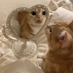 >_<