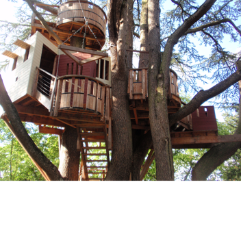 survive a normal day!