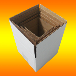 ALL HAIL THE BOX