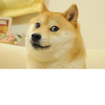 wowyesverymuchDoge