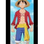 Straw hat pirates luffy