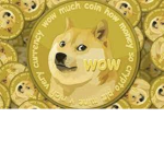 DOGE’S Are Awesome