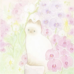 l'orchidée
