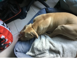 Find group hang out