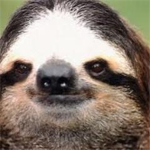 #sloths