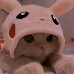 Clothing For Softies ;)