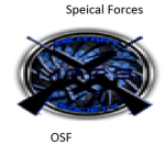 OSF*