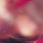 .・。.・゜✭・.・✫・゜・。.