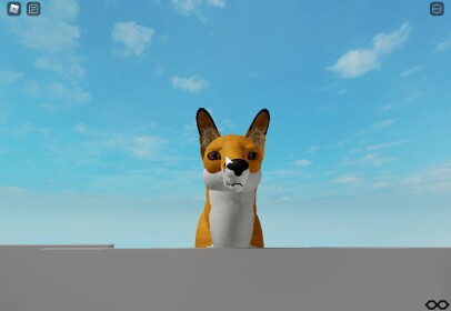 foxs meeting place