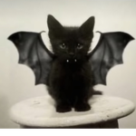 Kittybat