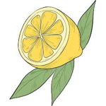 •Group Lemon•
