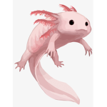 Axolotl pokemon