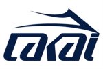 *Lakai shoes skateboarding team*