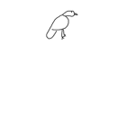 Polar *