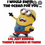 Minion memes
